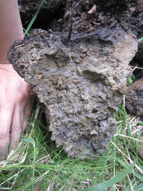 Photo by Flickr user PRSSS Photos