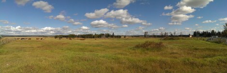 Angus Moon Farm, Vanderhoof BC - Image by Flickr user Digging For Fire